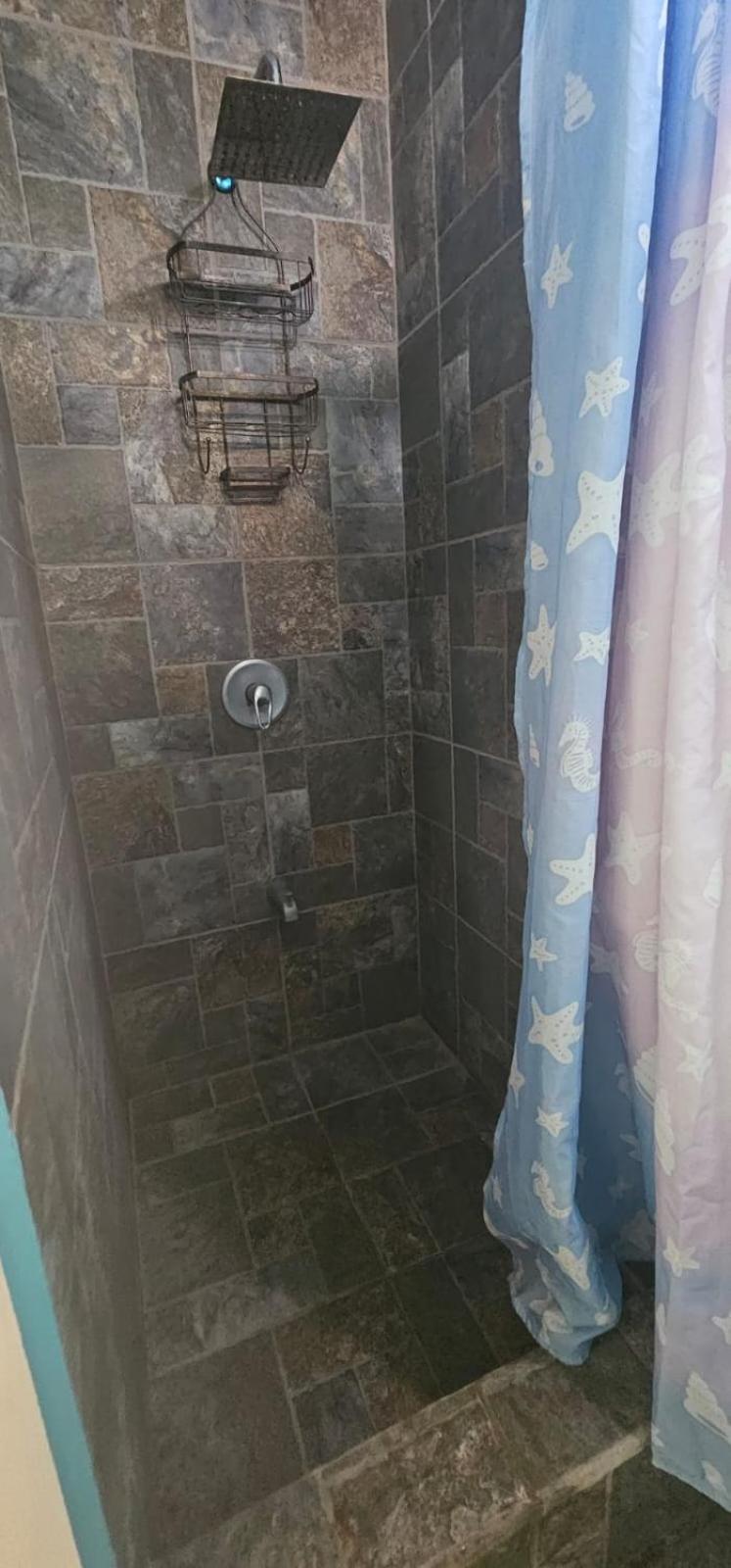 Fish Tobago Guesthouse Or Joy And Brandon Guesthouse Buccoo Номер фото
