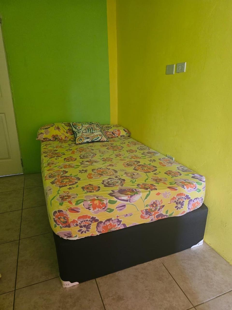Fish Tobago Guesthouse Or Joy And Brandon Guesthouse Buccoo Номер фото